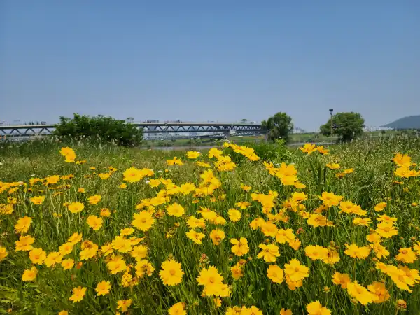 20250527_104543 - 복사본.jpg